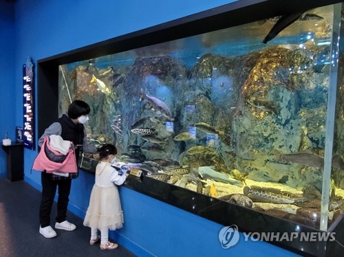 단양 다누리아쿠아리움, 크리스마스 이벤트 다채