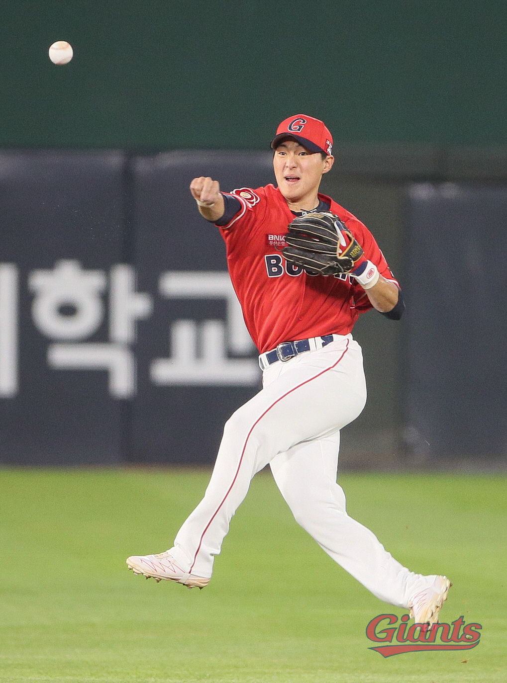 희망→좌절 지켜본 아내의 응원…'이적 대신 은퇴' 3주차 새신랑의 속내 …
