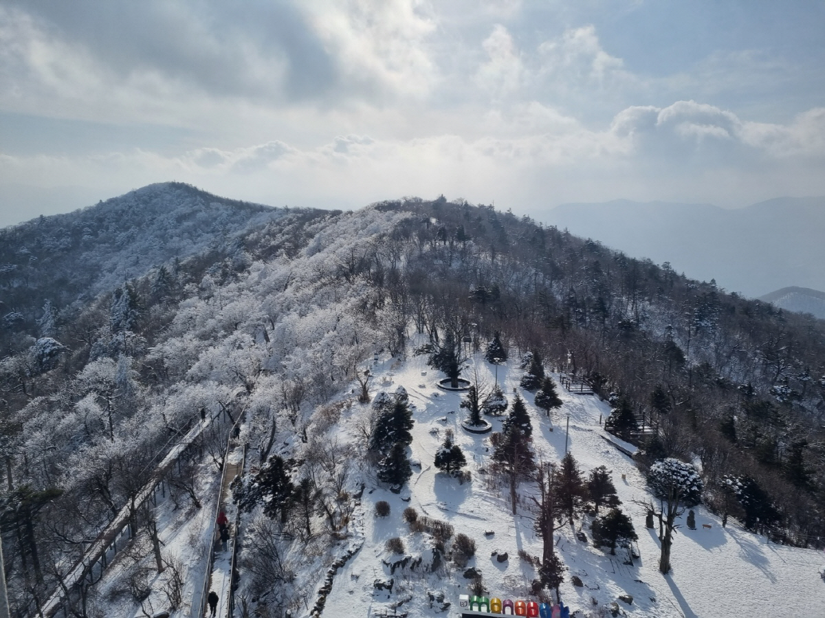 가족과 눈꽃 즐기는 겨울 산행…평창에는 특별한 게 있다