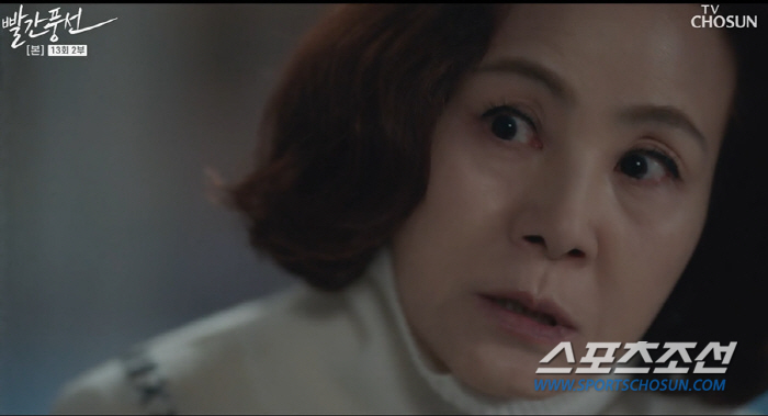 [SC리뷰]'빨간 풍선' 서지혜-이상우, '놀이터 키스'로 사랑 확인…장…