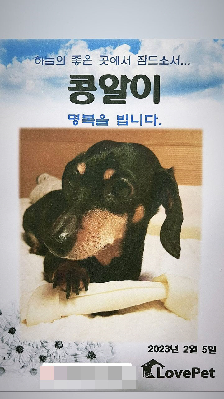 최여진, 먹먹하게 치른 장례식 "연기가 되어 떠나는구나, 잘 가"