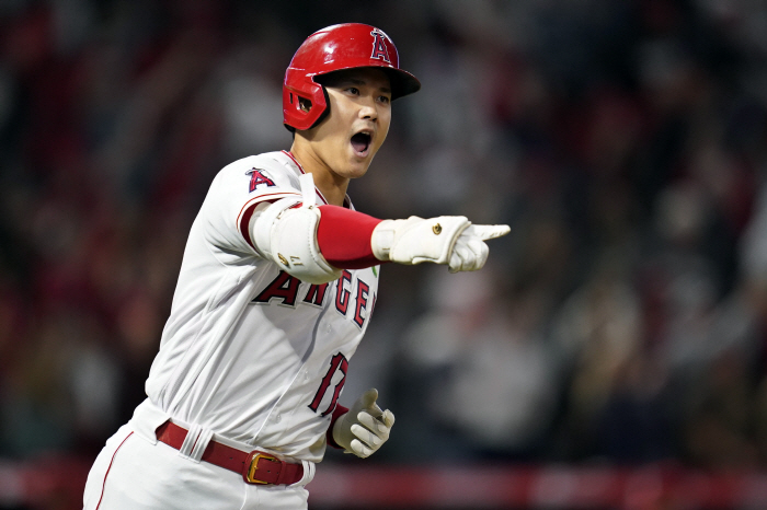 오타니가 'FA로이드' 타면? 도박사들은 압도적으로 MVP 지지했다