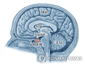 [국가암정보센터 제공]