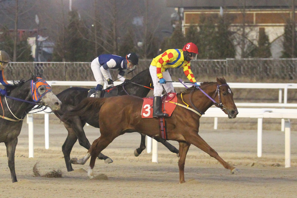 [경마] 우수(雨水)의 계절에 찾아올 1800m 1등급 경주를 주목하자
