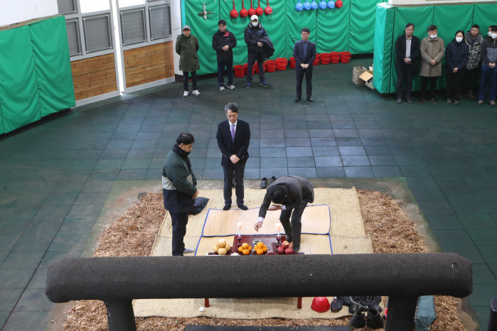 [경마]한국 말산업을 이끌어 갈 차세대 명마 탄생의 시작, 경주마 교배 …