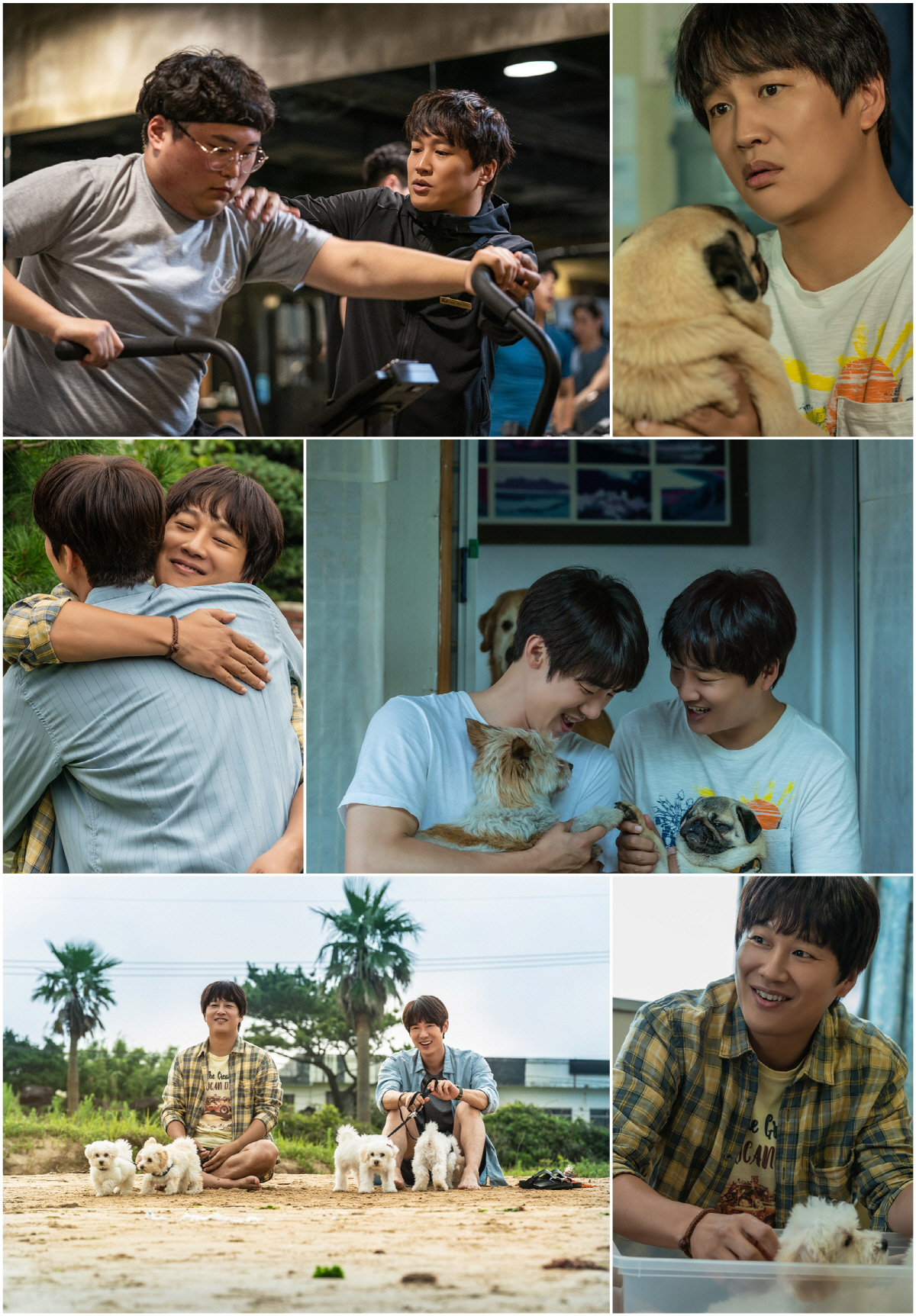 [SC인터뷰] "성공한 유연석, 내 자식도 아닌데 뿌듯"…차태현, '멍뭉…