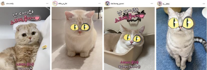 "귀여우면 다야"…'스즈메의 문단속' 고양이 다이진, 서울 명소 찾은 이…
