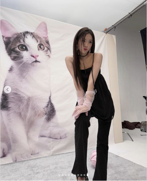 '강아지상' 안유진, 고양이 귀 붙여도 '찰떡 냥냥美'