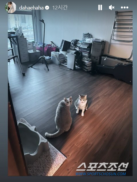 '배다해♥이장원' 부부, 럭셔리 하우스인데…의리의리 주방과 달리 악보·악…