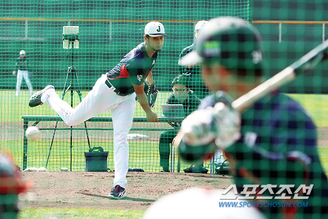 "이런 공 처음본다"…다르빗슈 '투심'에 깜짝놀란 일본타자들, 차원이 다…