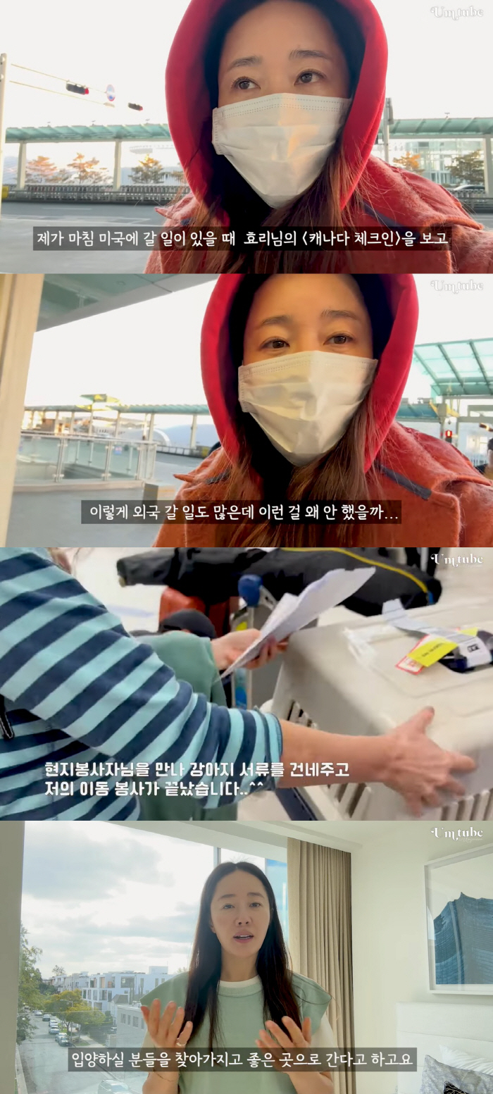 "이효리보고 결심" 엄지원, 바쁜 와중에도 '유기견 해외 이동봉사'
