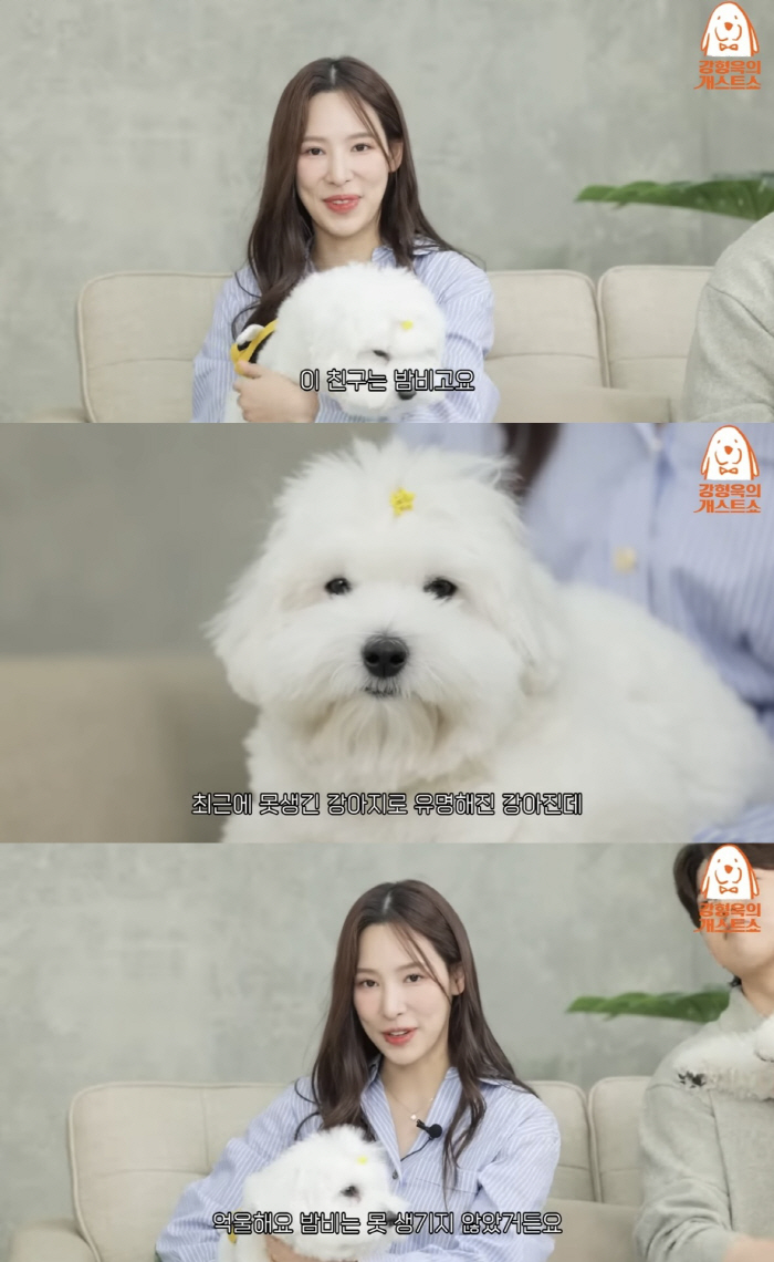 '환연2' 이나연, ♥남희두 닮은 반려견 "밤비, 못생긴 강아지로 유명해…