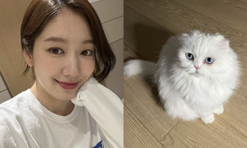 '최태준♥' 박신혜 "겨우 다 길렀는데..." 반려묘 향한 미안함