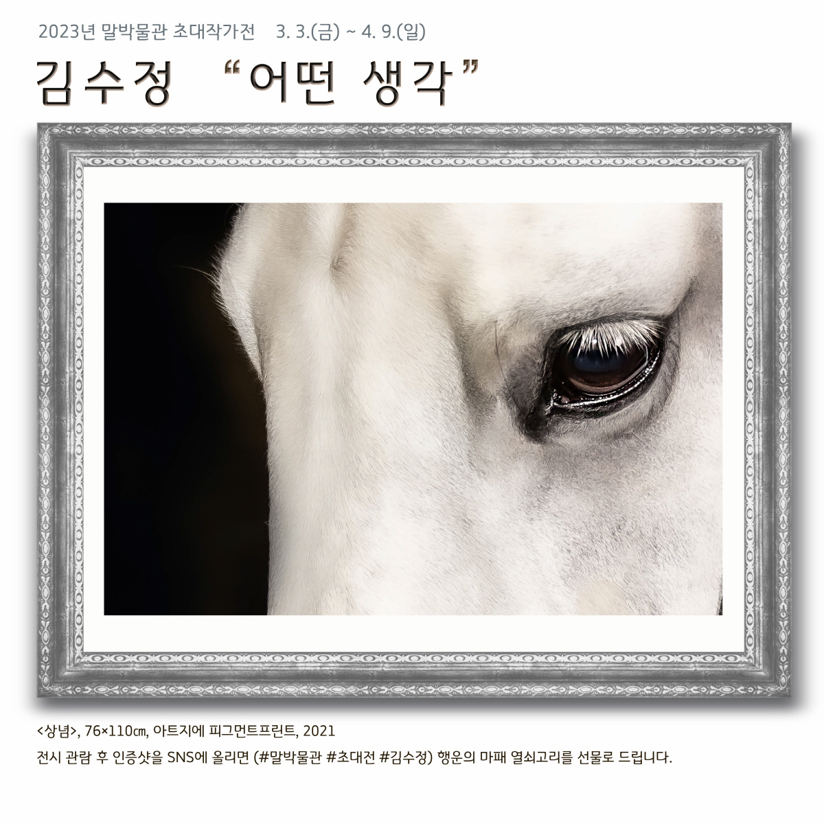 [경마]말박물관, 김수정 사진작가 개인전 ‘어떤 생각’ 오픈