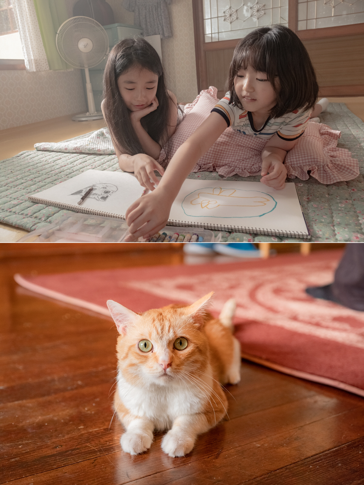 "아역배우X고양이 세심하게 신경쓰자"…김다미X전소니 '소울메이트', 특별…