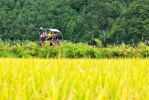 [정선군 제공.재판매 및 DB 금지]