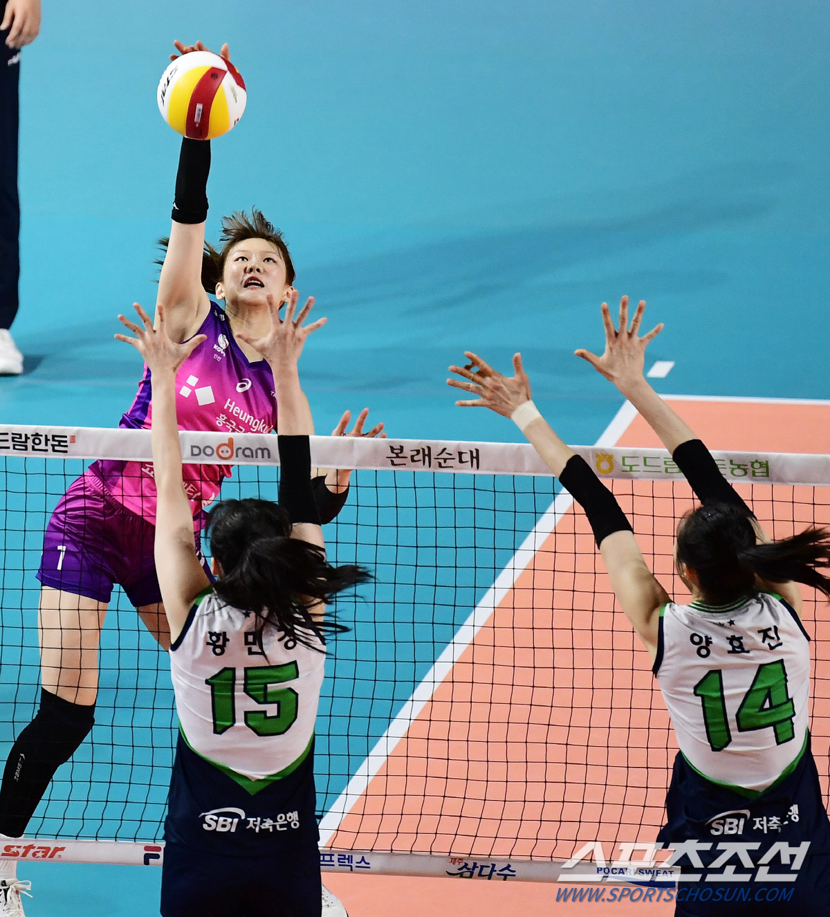 김연경, 옐레나 빠지니 김다은-박현주 50점 폭발. 1위 흥국생명 최종전…