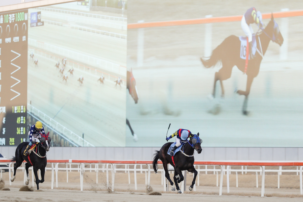 [경마]통산 2200승 돌파! 57세 경마대통령 박태종 기수의 전설은 현…