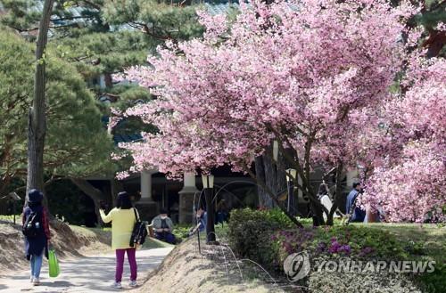 [연합뉴스 자료사진]
