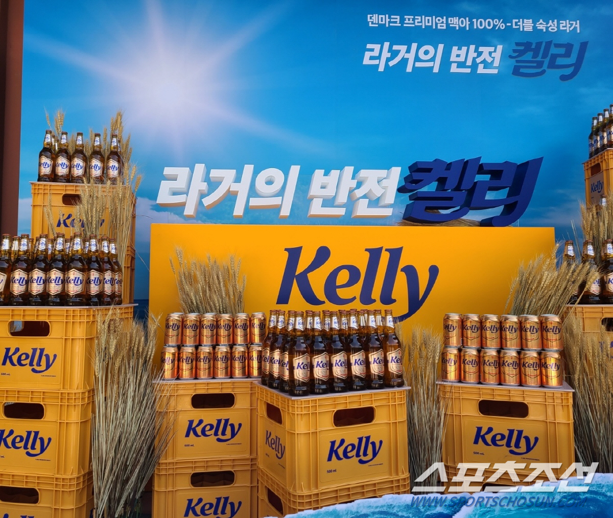 하이트진로, 켈리-테라 쌍끌이 흥행으로 맥주 시장 선두 탈환 나선다