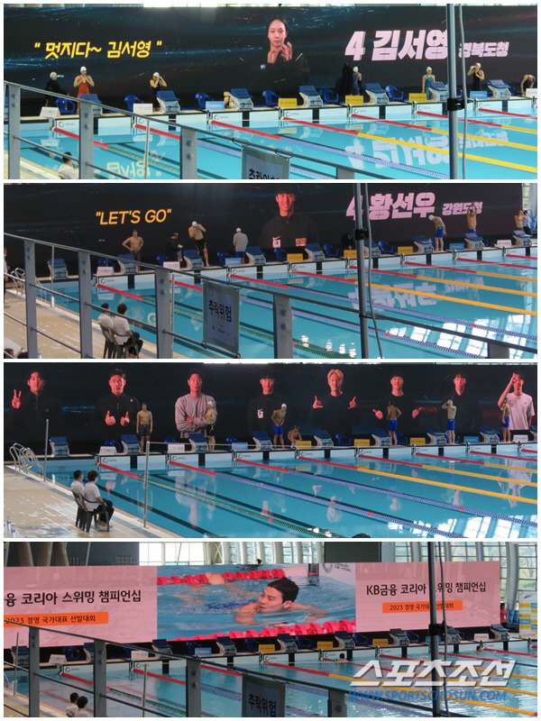 "男자유형 강국,대~한민국!" 황선우X김우민 100-200-400m 세계…