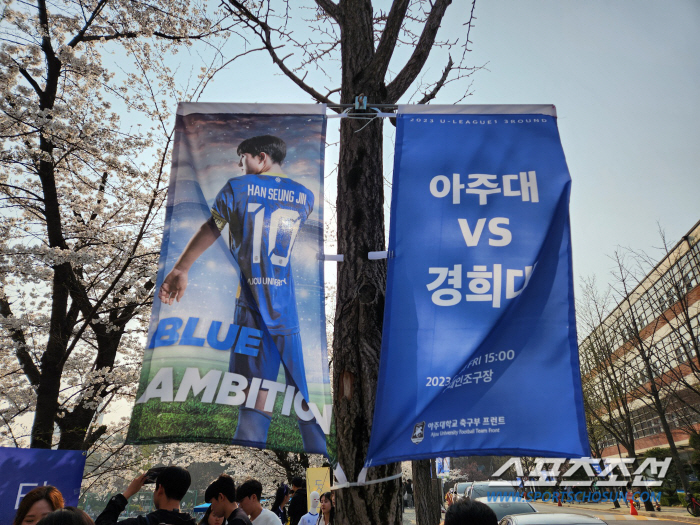 [현장스케치]수천 관중 모인 아주대 홈 개막전, 벚꽃과 함께 축구도 활짝…