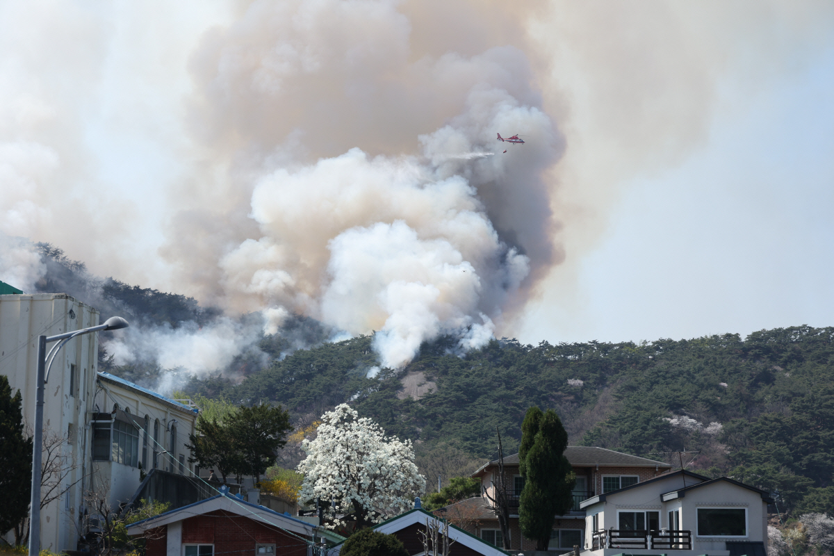 인왕산 산불 3시간 째 진화 중..축구장 32개 면적 소실