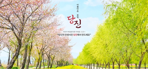 당진시, 봄맞이 테마관광 여행 상품 2개 출시