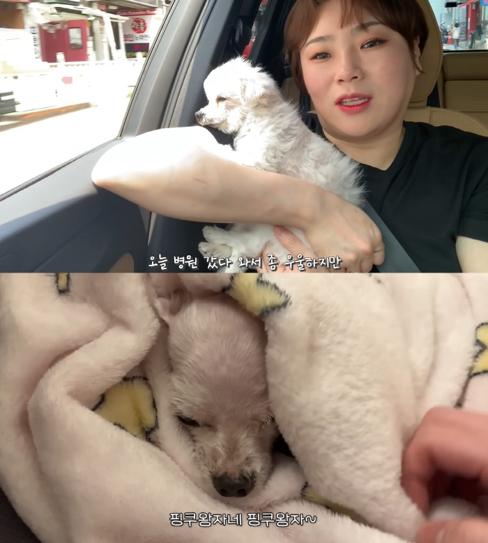 입짧은햇님, 비보로 당분간 휴방 "반려견 춘삼이 무지개다리 건너"