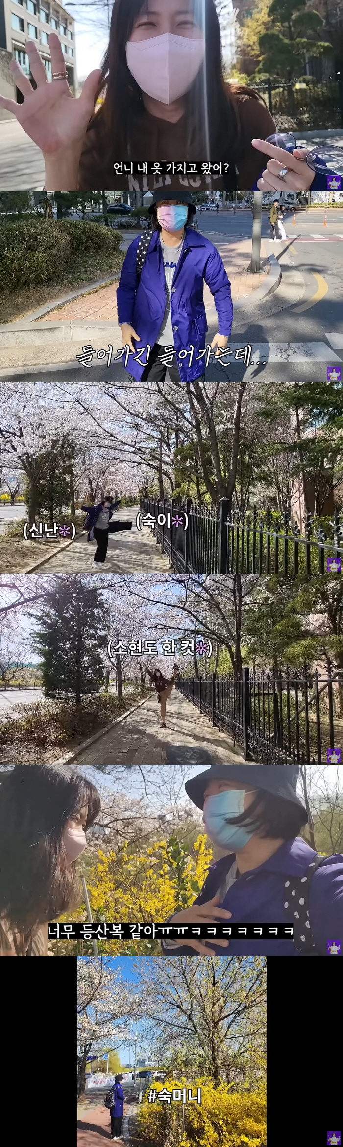 '46kg' 박소현, 삼겹살 3점 먹고 "배불러"...김숙 "2인분 다 …
