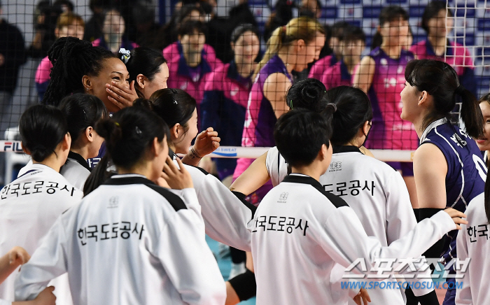'귀화라도 할까요?' 봄배구 이끈 복덩이 캣벨..'우승으로 해피엔딩 꿈꾼…