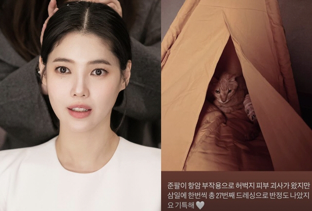 배다해, '모두를 안타깝게 했던' 준팔이 근황 "항암 부작용→피부 괴사 …