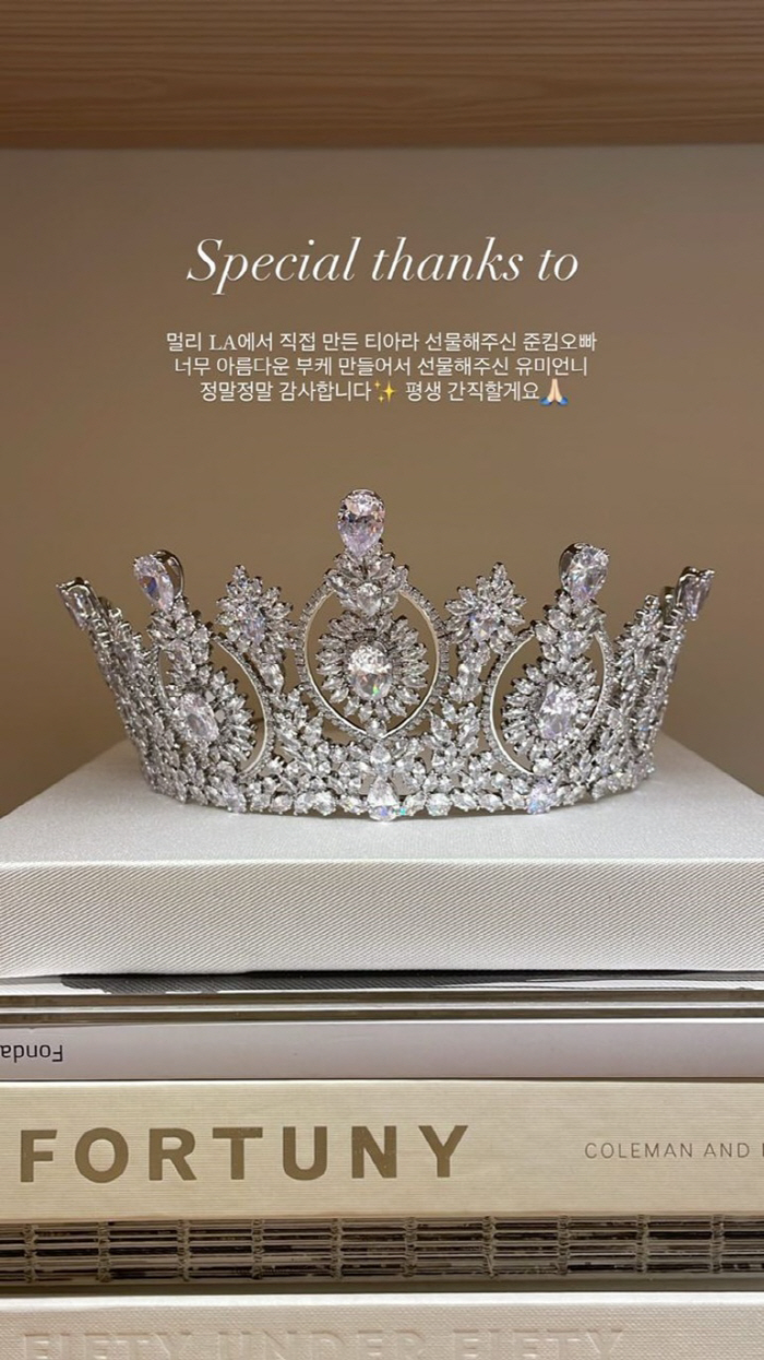 "드레스만 세벌·수제 티아라"..'이승기♥' 이다인, 세상 가장 화려한 …