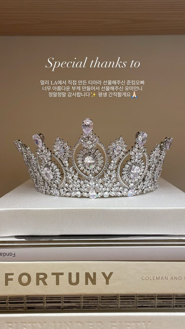 "드레스만 세벌·수제 티아라"..'이승기♥' 이다인, 세상 가장 화려한 …