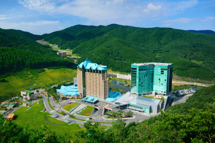 하이원리조트, 여름 성수기 호텔 콘도 객실 사전 판매