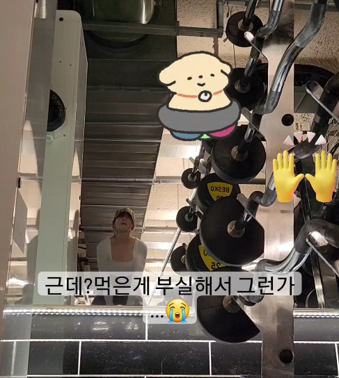 최강희, 밀가루 설탕 끊고 '4kg 감량' 성공…탄탄한 슬림라인 드러나