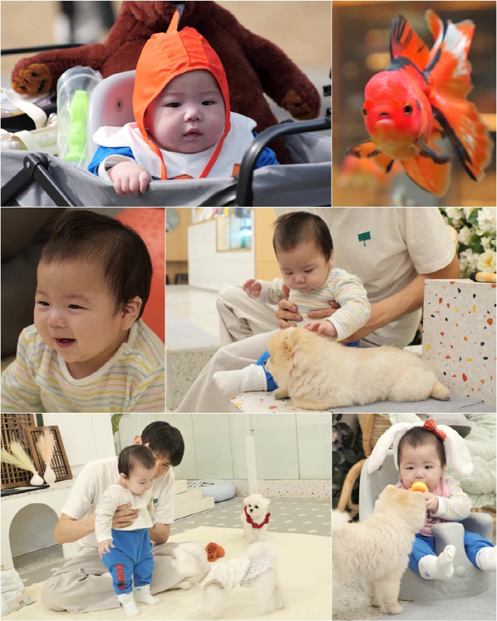 제이쓴 子 준범, 아기 금붕어 변신...난생 첫 동물 스킨십에 '샤우팅 …