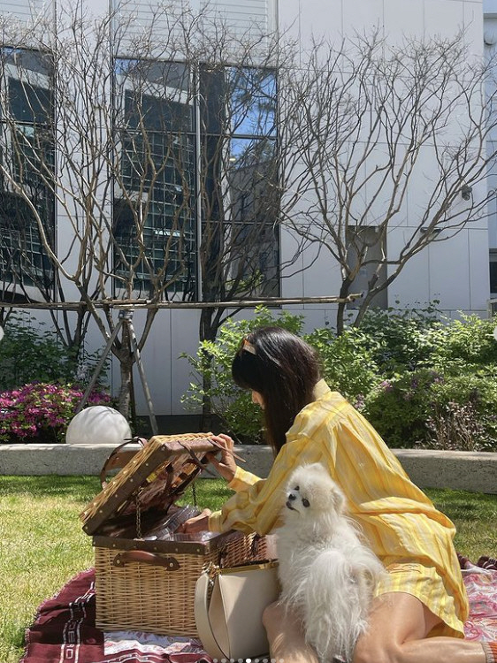 '장동건♥' 고소영, 펜트하우스 마당서 럭셔리 피크닉 "날이 너무 좋아서…