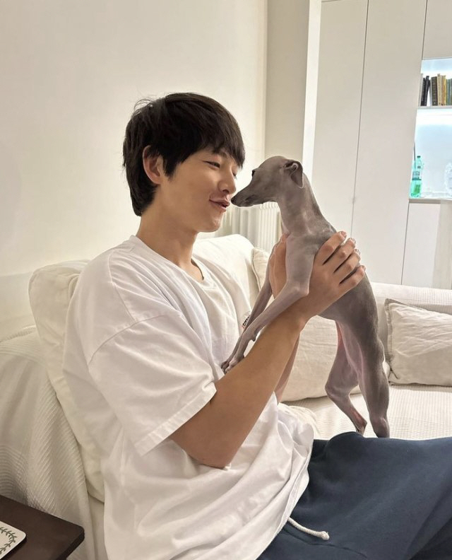 송중기, 행복한 예비아빠…♥케이티와 재혼 후 더 편안해진 분위기