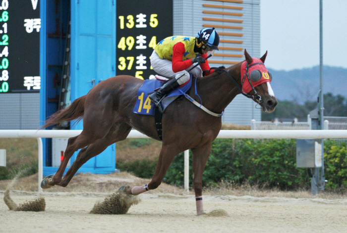 [경마]제4회 루나스테이크스, 왕관을 향한 질주'트리플티아라'시리즈 23…