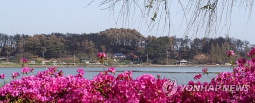 (강릉=연합뉴스) 유형재 기자 = 19일 강원 강릉시 경포호수 너머로 지난 11일 발생한 산불로 불에 탄 경포대 일원의 산림이 처참한 모습을 하고 있다. 2023.4.19 yoo21@yna.co.kr