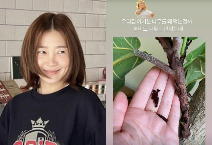 '임성빈♥' 신다은, 나무 뜯어 먹는 아들에 '난감'..."반려견도 안 …