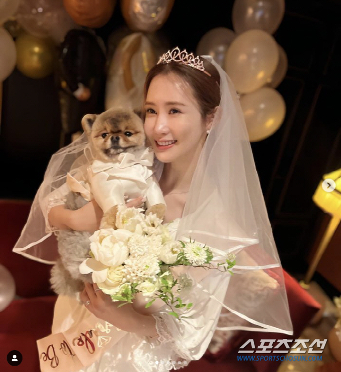 '면사포' 쓴 이다해, 신랑 ♥세븐은 어디가고…'5월의 신부' 준비 '착…
