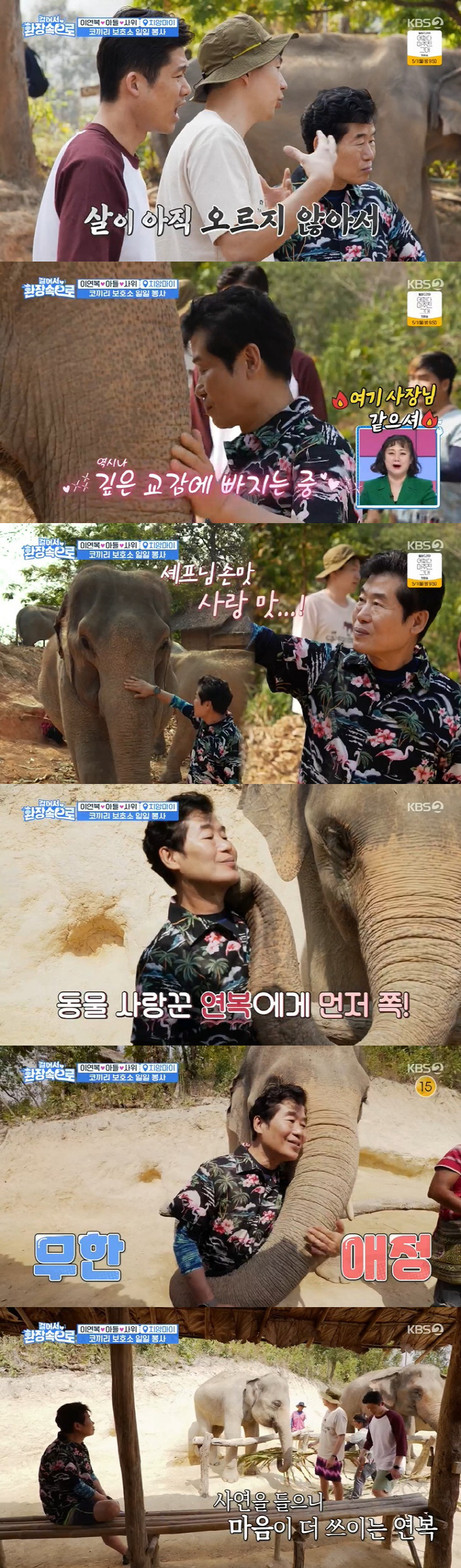 "이연복, 유기견 보호센터에 돈 엄청 보내" 가족도 혀 내두른 동물 사랑…