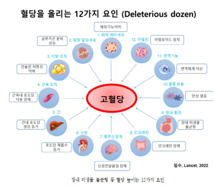 분당서울대병원 임수 교수팀 '2형 당뇨병' 치료 및 발전 방향 집대성