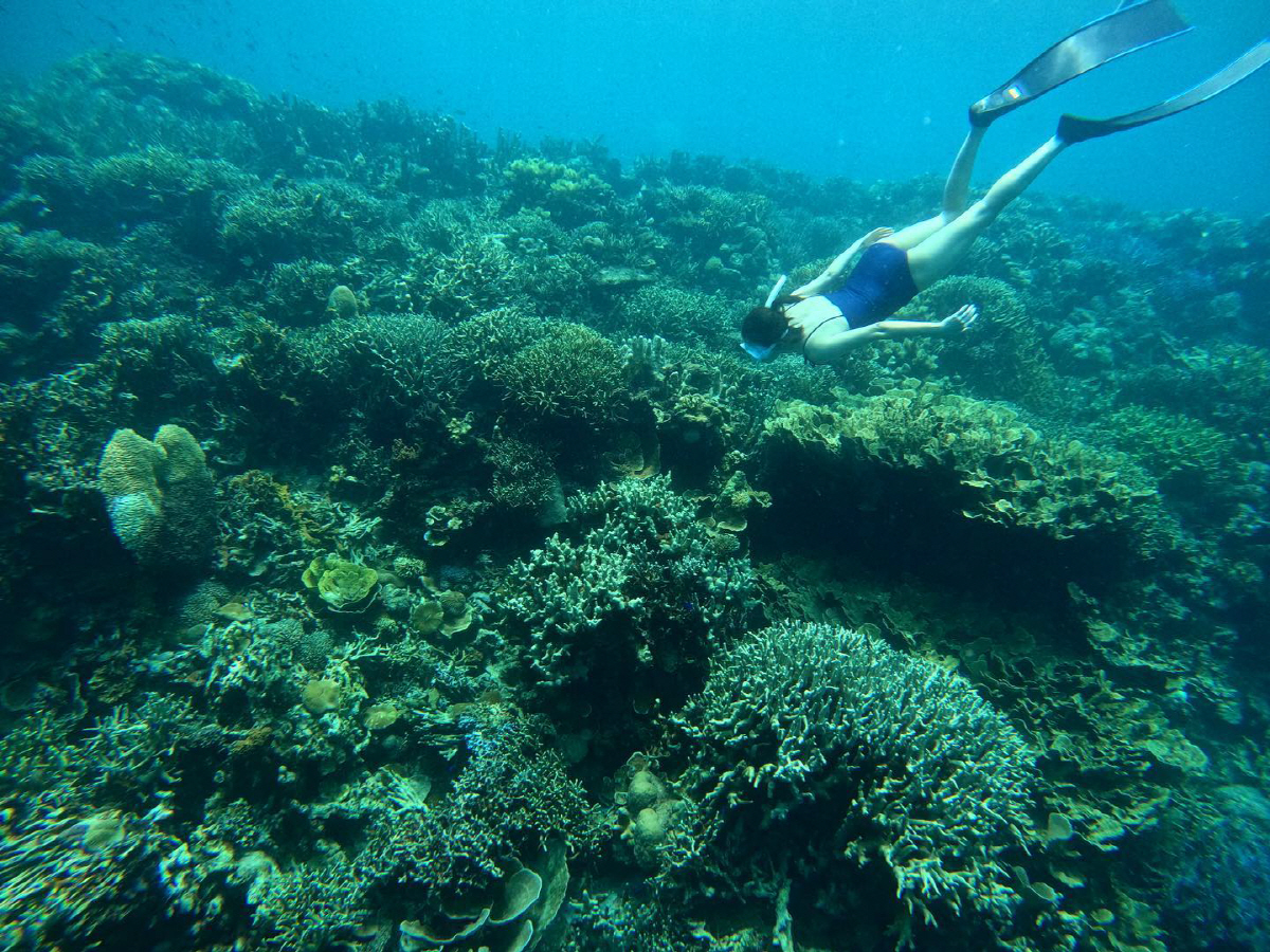 인어공주 아니야? 한효주, 탄탄 근육→수준급 수영 실력