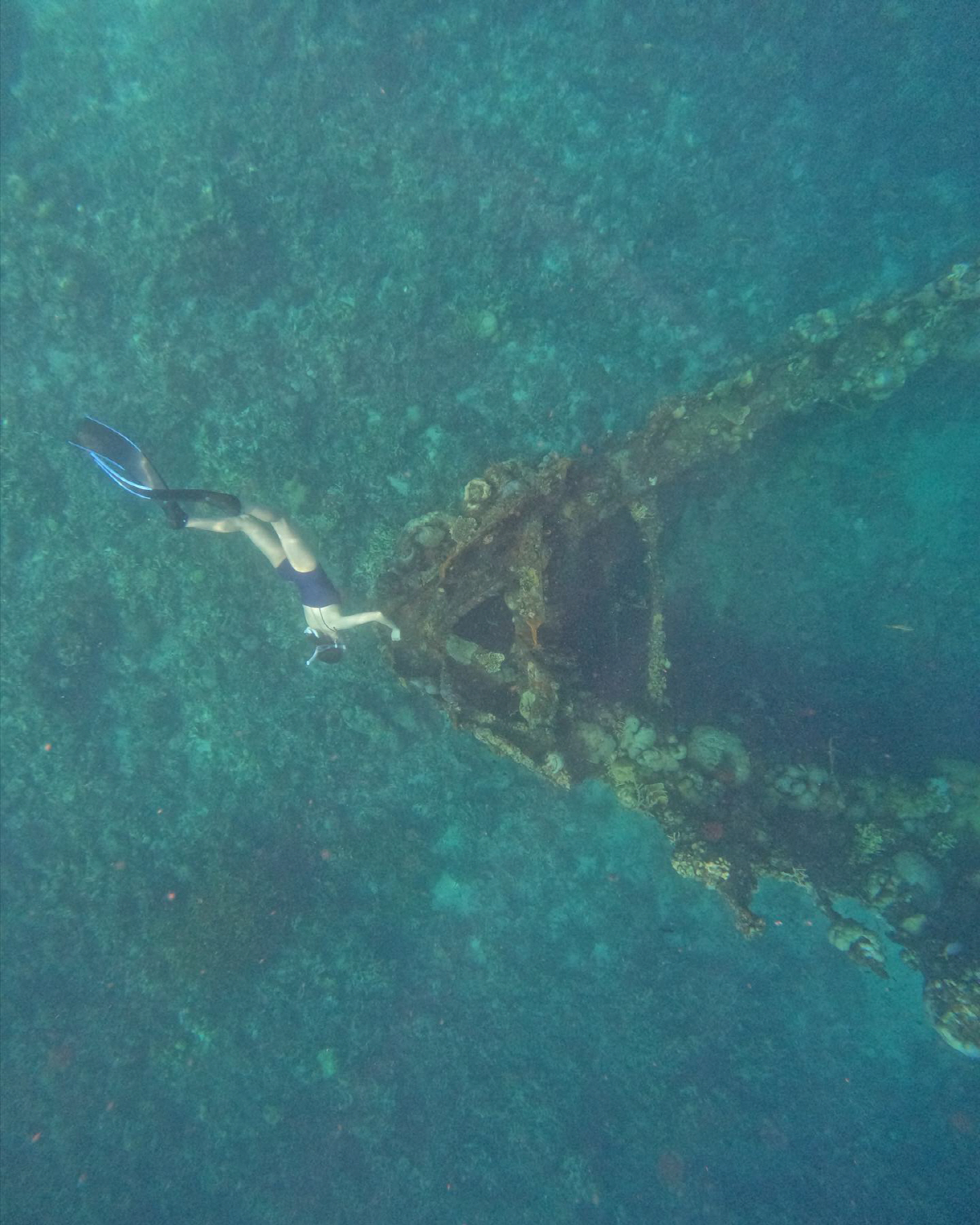 인어공주 아니야? 한효주, 탄탄 근육→수준급 수영 실력
