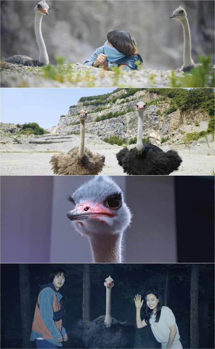 "타조가 왜 거기서 나와?"…상상조차 못한 신스틸러 ('킬링 로맨스')