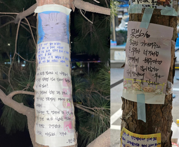 차은우·산하, 故 문빈에 남긴 마지막 편지 "왜 이리 그립고 후회되는지"…