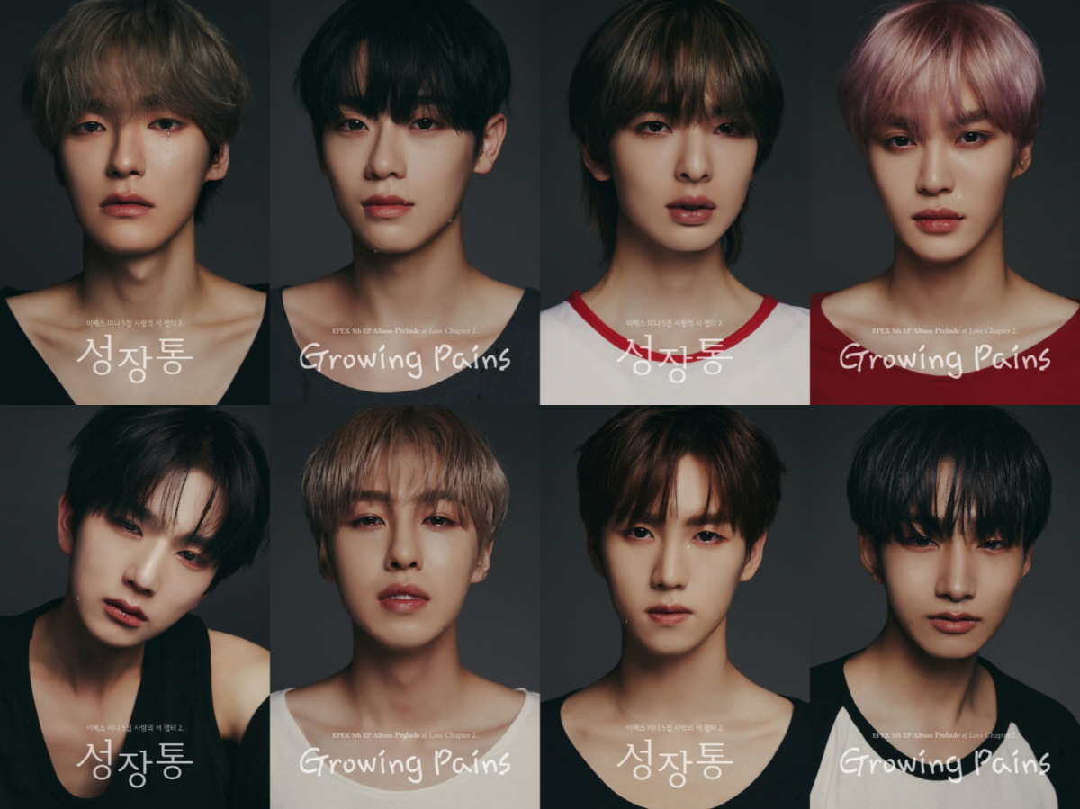 [SC현장] 맑은 이펙스, 신곡 '여우가 시집가는 날'로 꿈꾸는 '비의 …